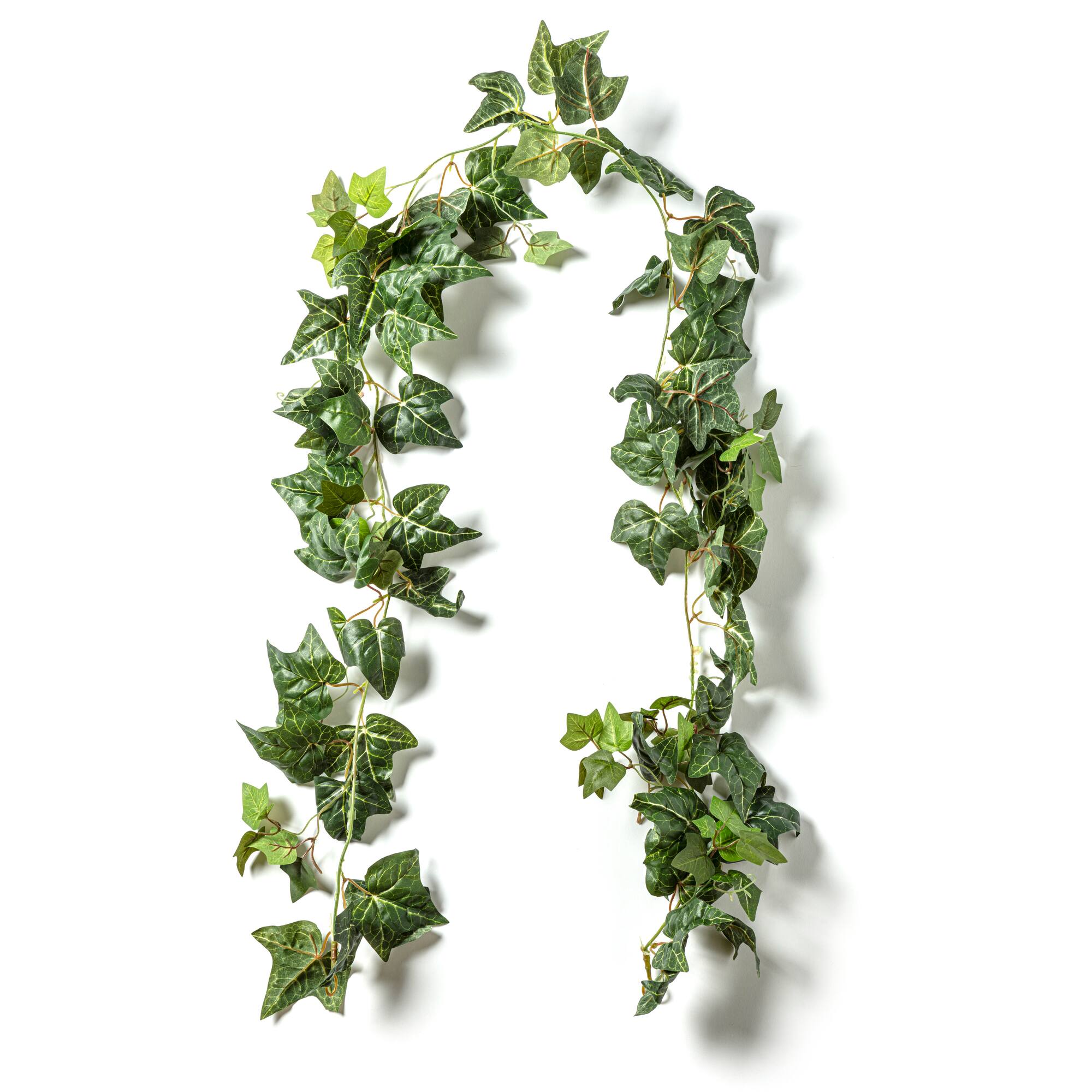 7 Pack: 6ft. Green English Ivy Garland by Ashland®